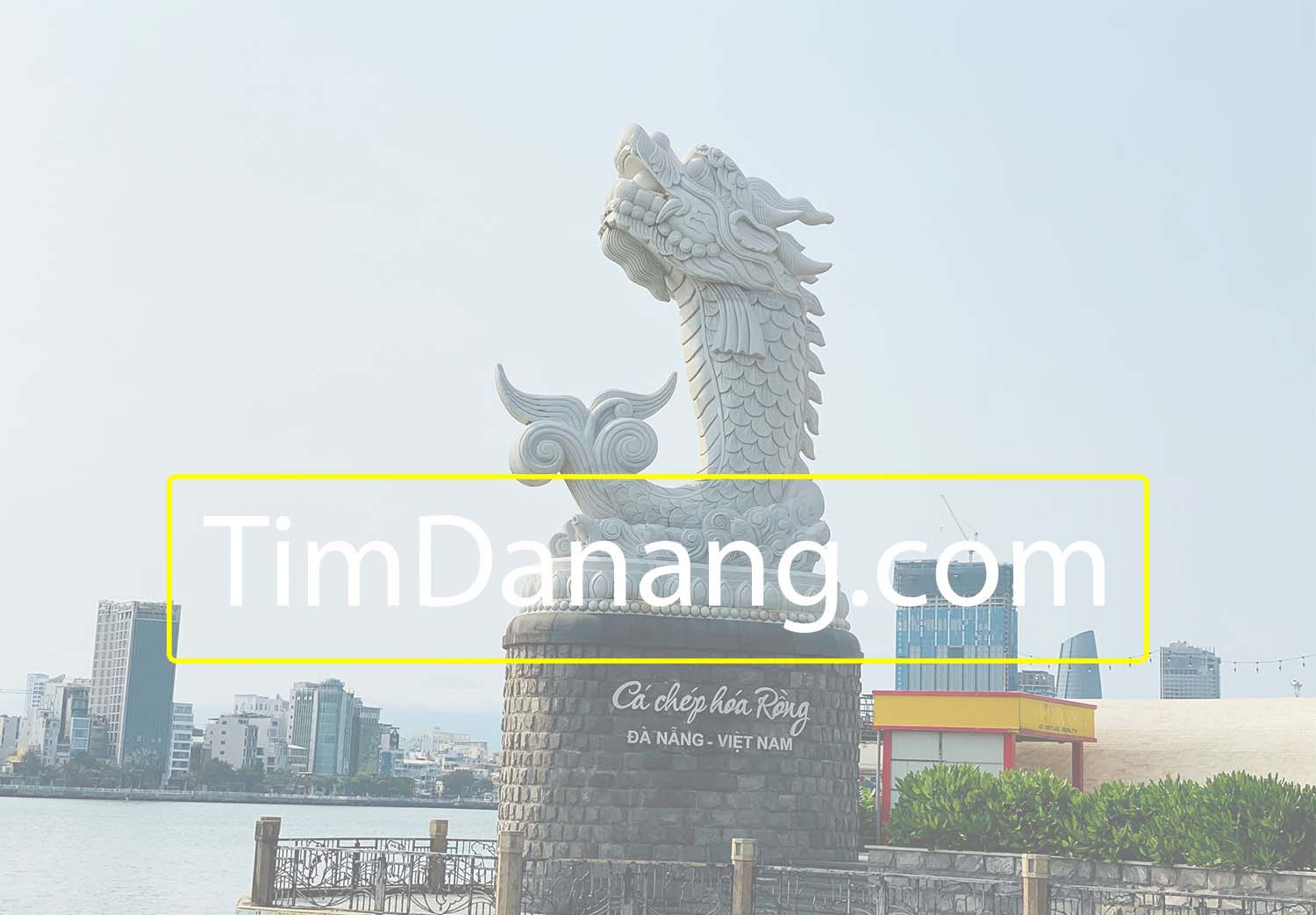 tim-da-nang-com-intro-ava.jpg